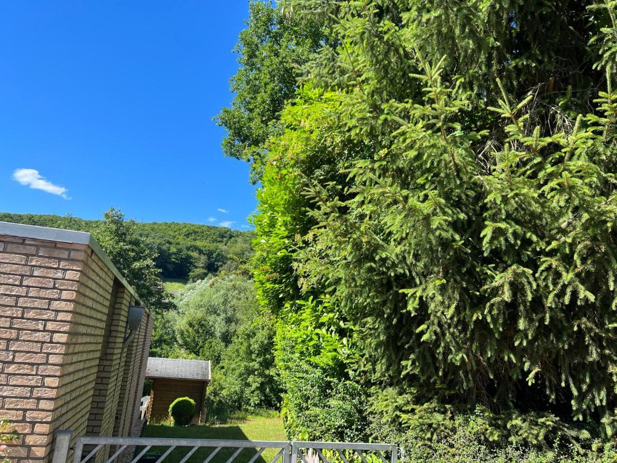 Gaestehaus Zum Buchenweg Hasenfeld Екстер'єр фото
